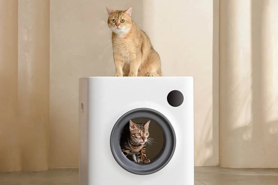 automatic cat boxes